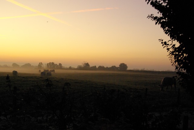 environs1.JPG
