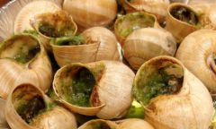 alentours_escargots.jpg